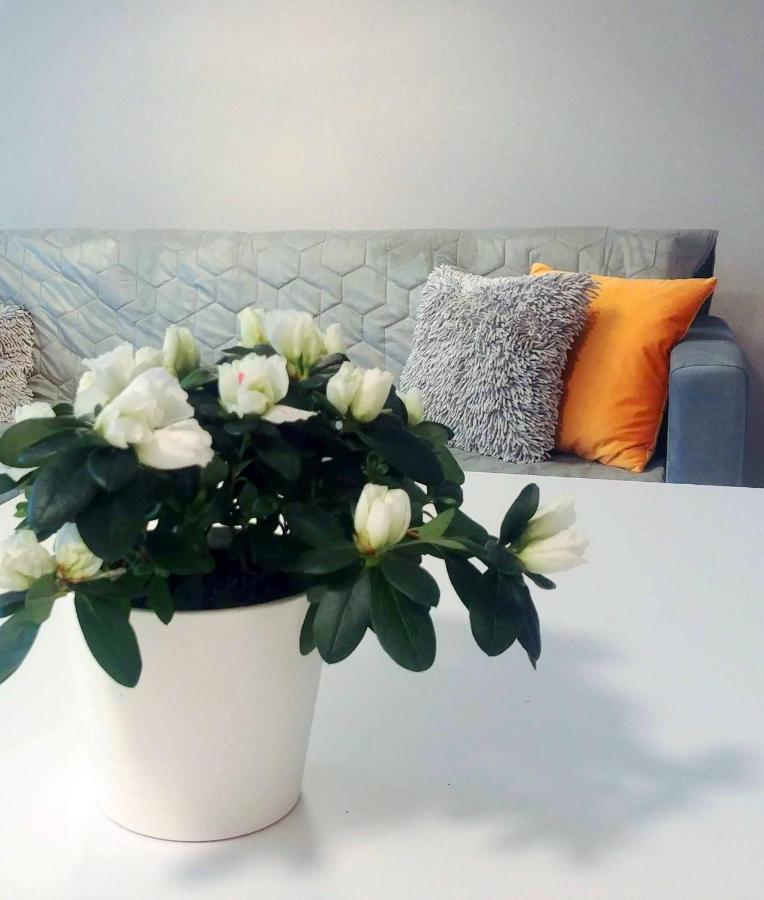 Bel Mare Wyspa, Apartament Z Parkingiem Gratis Miedzyzdroje Ngoại thất bức ảnh